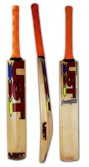 GREEN GOLD KASHMIR WILLOW JUNIOR