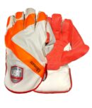 ULTIMATE KEEPING GLOVES