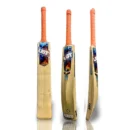 HITEC KASHMIR WILLOW